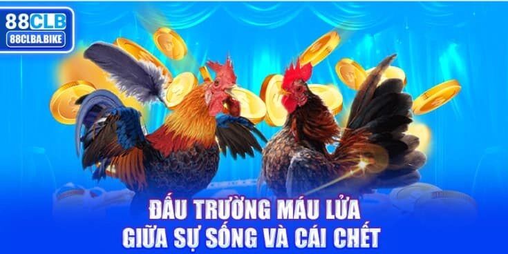 dau-truong-mau-lua-giua-su-song-va-cai-chet-