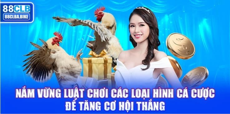 nam-vung-luat-choi-cac-loai-hinh-ca-cuoc-de-tang-co-hoi-thang 